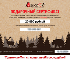 Подарочный сертификат на 20000 рублей